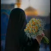 .noor8173
