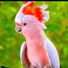 mdnazmulhassan3577