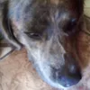 user19204661877032