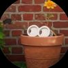 qiratnoob_