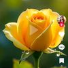 user1416115668639