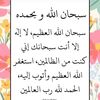 abuomar4153