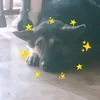 i_am_luuuuu