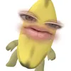 patt600