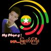 phyog617