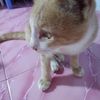thitima_542557