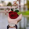 zinar_sorani