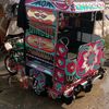 lale.wafadar0