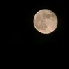 lemlem_783