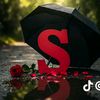 sevdaaa_____