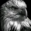user2244594002838