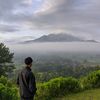 muhammadfauzan9255