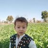 usamankhan6205
