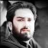 abnalnajaf04