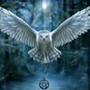 user3957801024258