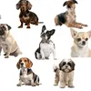 pawsandplay111