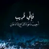 alialitop435