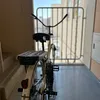 karrarhaider4447
