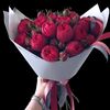 user3161166820375