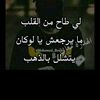 loupa880
