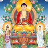 Thế giới cực lạc 🪷