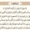 taif6513