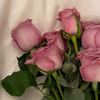 faten0450