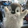 yogibear_38
