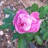 khaledkhaled5091