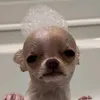 julixgames59