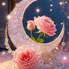 gana.abd.med