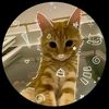 sally_mp4