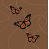 butterfly_mimi02