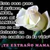 yo.gutierrez