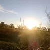 vedeos098