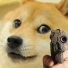 totallynotdogee