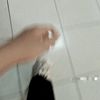 rizaayuanntika