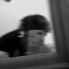 rifat.azzamy