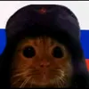 mitya4572