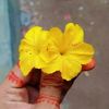 mujhe.islam5