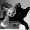 taburetka_228.g