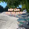 cattrang79