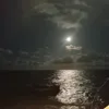 raro_8888