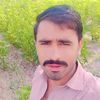 dil.mor.gopang