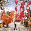 loan.nguyn9565