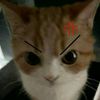 seyha.boy.smos3