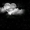 nj.fon2