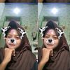 ism4_st3cu
