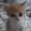 jkrme
