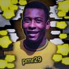 pmr29_pes